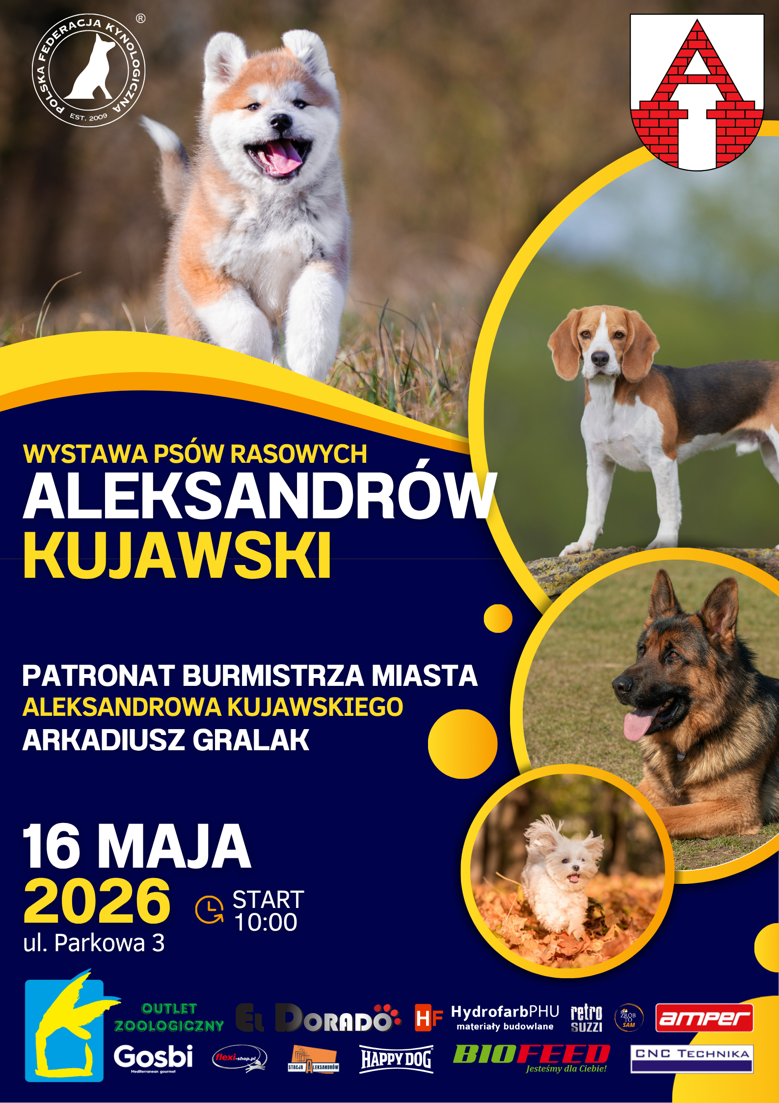 Międzynarodowa Wystawa Psów Rasowych 